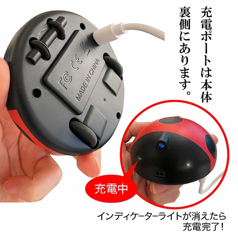 �ե��󥿥��� ��ǥ����Х�