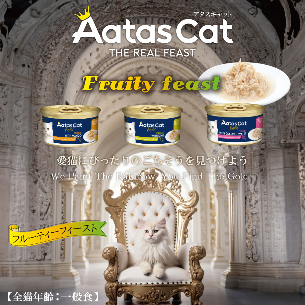 ������ ����å� �ե롼�ƥ����ե������� ������with�ޥ󥴡� 70g