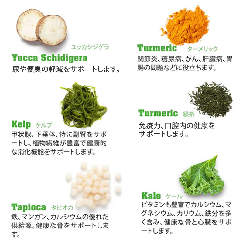 �ͥ����㡼�� HUG �ޥ������å� �����ƥ��� ������� 100g