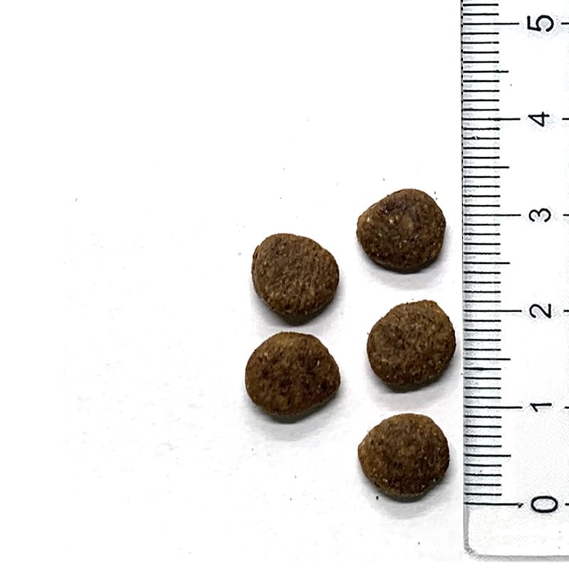 �֥�åȥ��� ����å� ���쥤��ե꡼ ���󥷥ƥ��� 400g