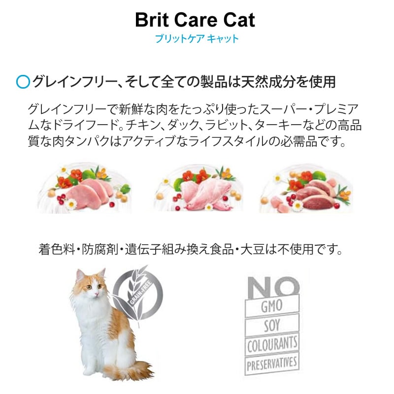 �֥�åȥ��� ����å� ���쥤��ե꡼ ���󥷥ƥ��� 400g