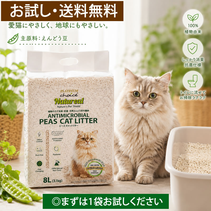 �ڤ�����ʡ��������1���� �ʥ���꡼�� �ԡ��� ����åȥ꥿�� 3.1kg �������ߡ��̳�ƻ�����졦Υ������� ���碌�㤤�Բ�