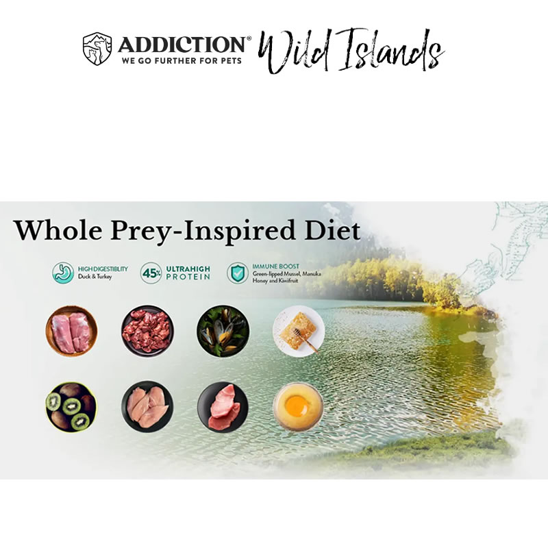 ���ǥ�������� Wild Islands �������ɥС��� ����å� 300g