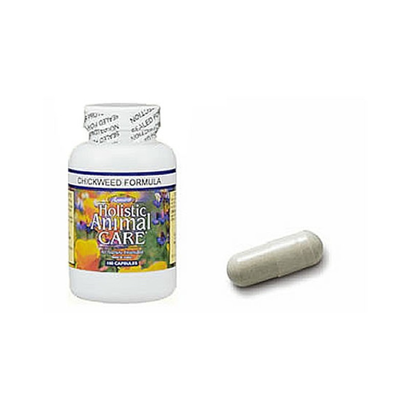 ��� �����ߥ� ���å��������ɥե����ߥ�� 100���ץ���