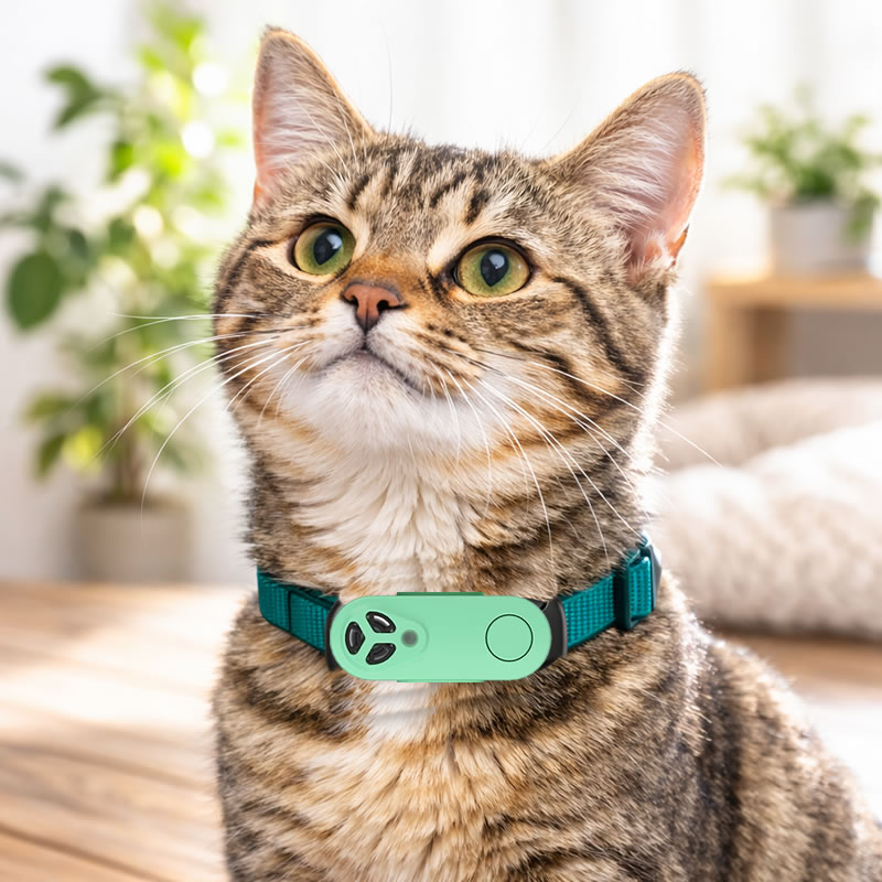 ��TICKLESS�� ���å��쥹 USB������ ���꡼��