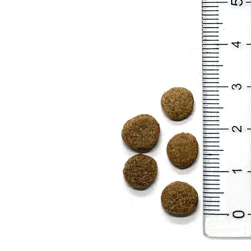 ��� �ץ����ơ��� �롦����å� �򹯰ݻ��ˤ���ȱ֤ΰݻ�����θ 4kg