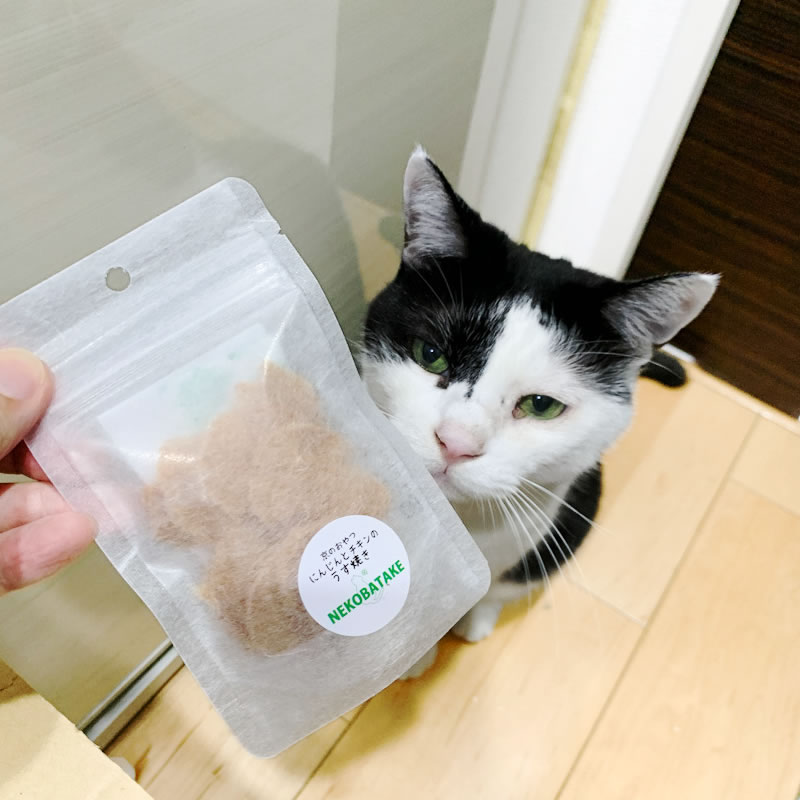 �ڣ��ĥ��åȡ� �ͤ��Ф��� ̵ź�ä���� ���Τ���� �ˤ󤸤�ȥ�����Τ����Ƥ� �ʵ�ð�Ȥ����襤�ɤ� ��