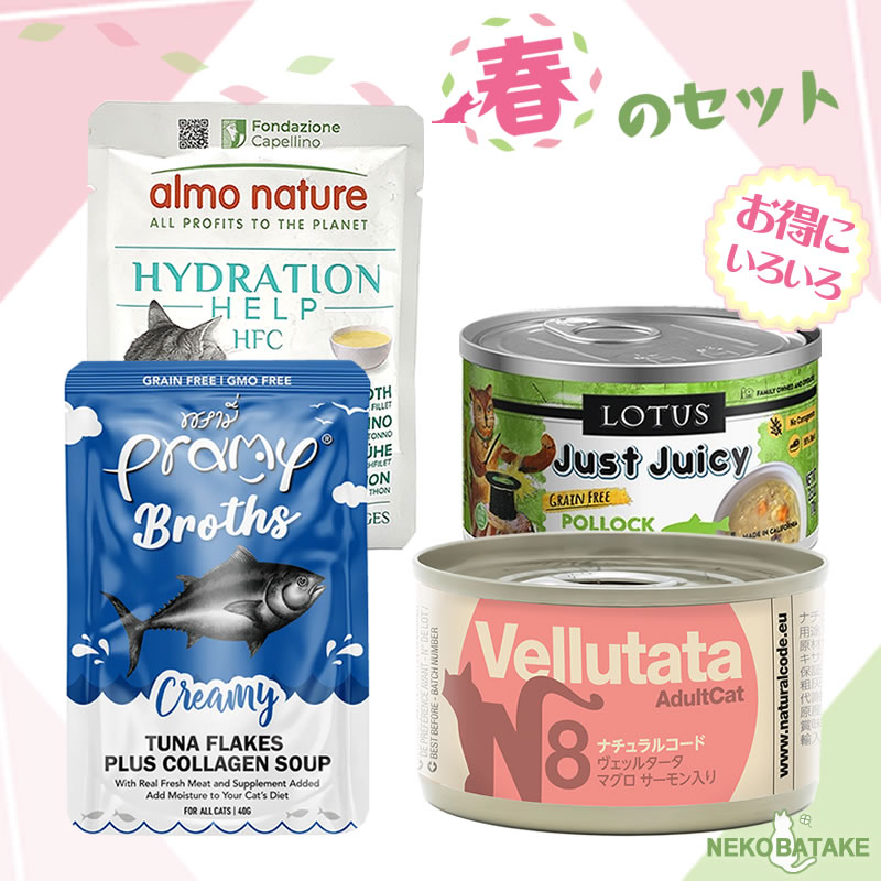 �դΥ��å� �����ף���