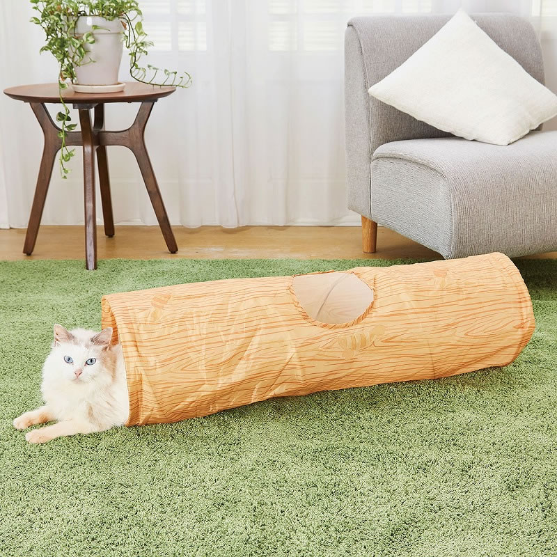 necoco ����Ĵǭ�ȥ�ͥ� ���ȥ졼��