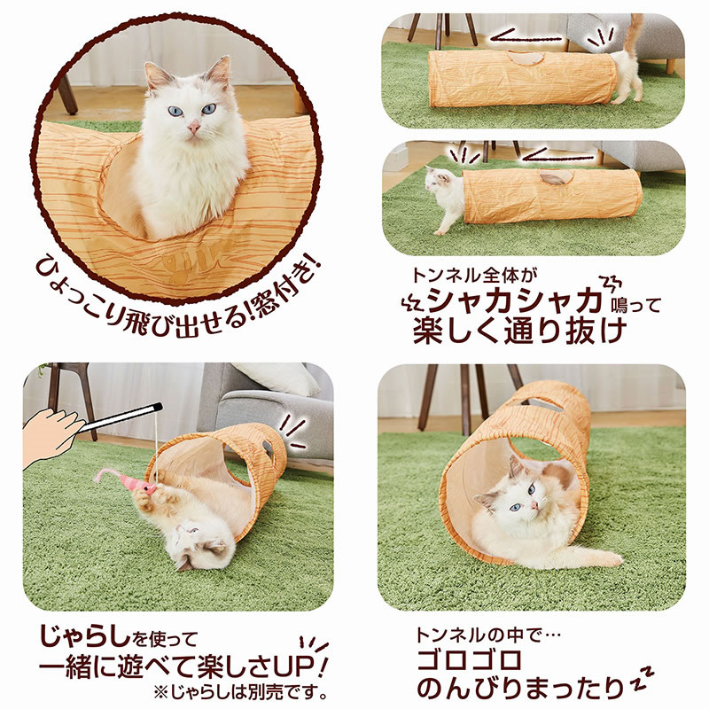 necoco ����Ĵǭ�ȥ�ͥ� ���ȥ졼��