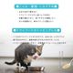 ��ȯ�䵭ǰ������ 8/10 12���ޤǡۥ����ͥ��㡼7 �ϥ��ɥ졼����� �ߡ���ȥåѡ� �ӡ��ե쥷�� 55g ǭ�Ѱ��̿�
