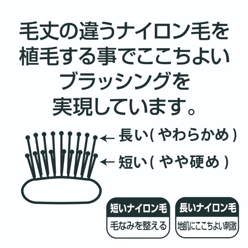 �����λ� �䤷��֥饷 �إ������� ������ ���ܺ��ҹ���