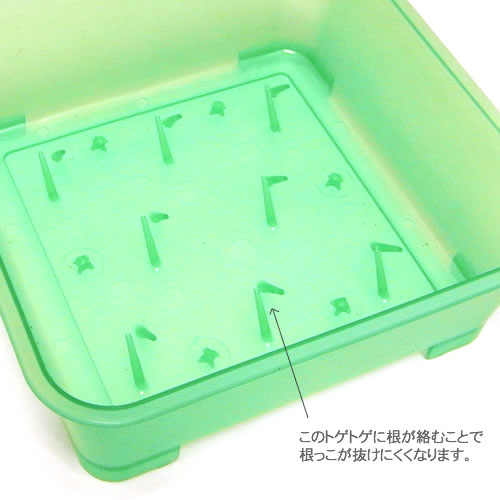 �ͥ��θ�����