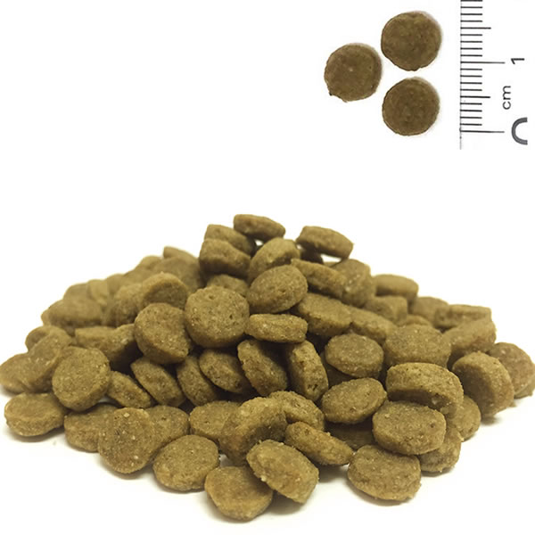 ���ǥ�������� �������֥롼 ���쥤��ե꡼ ����å� 300g