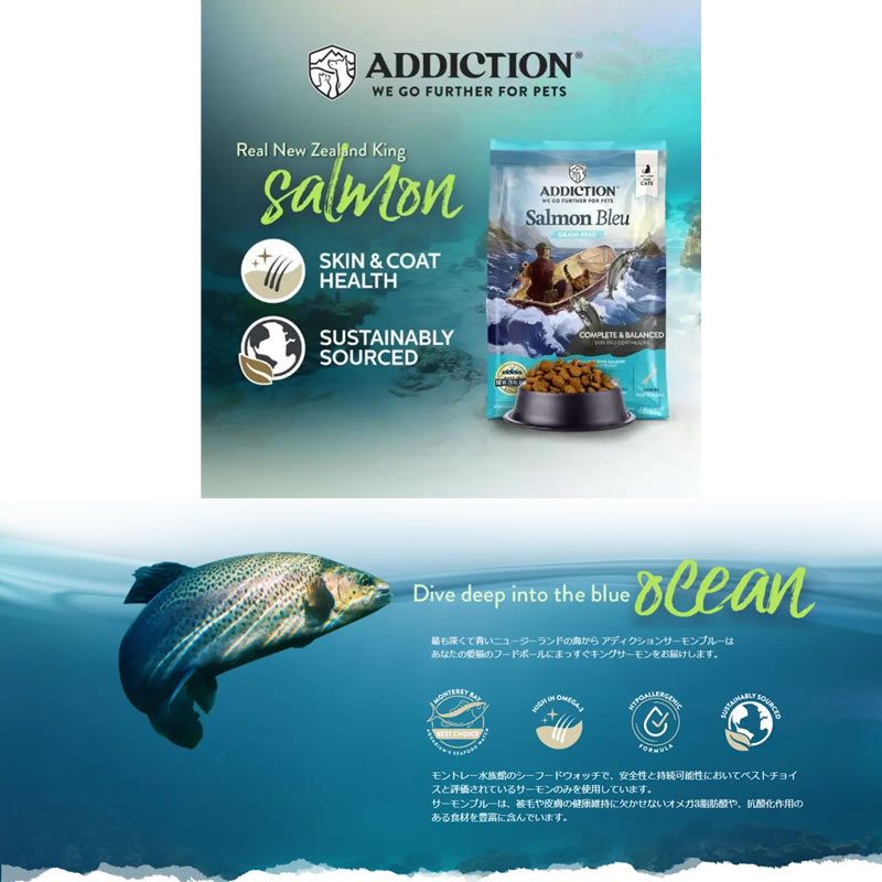 ���ǥ�������� �������֥롼 ���쥤��ե꡼ ����å� 300g