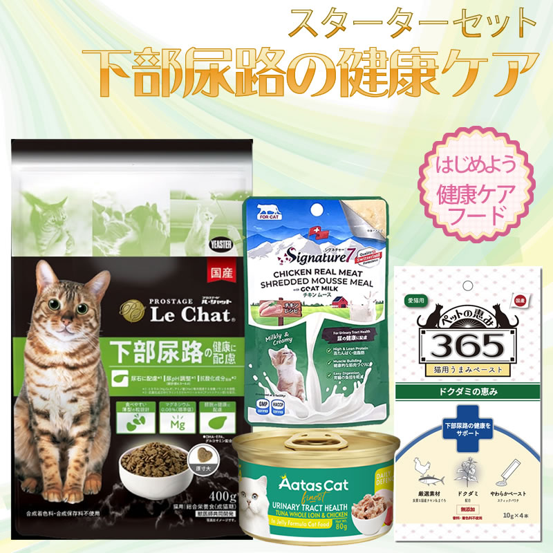 �������������å� ����Ǣϩ���� �񻺥���������� �롦����å�