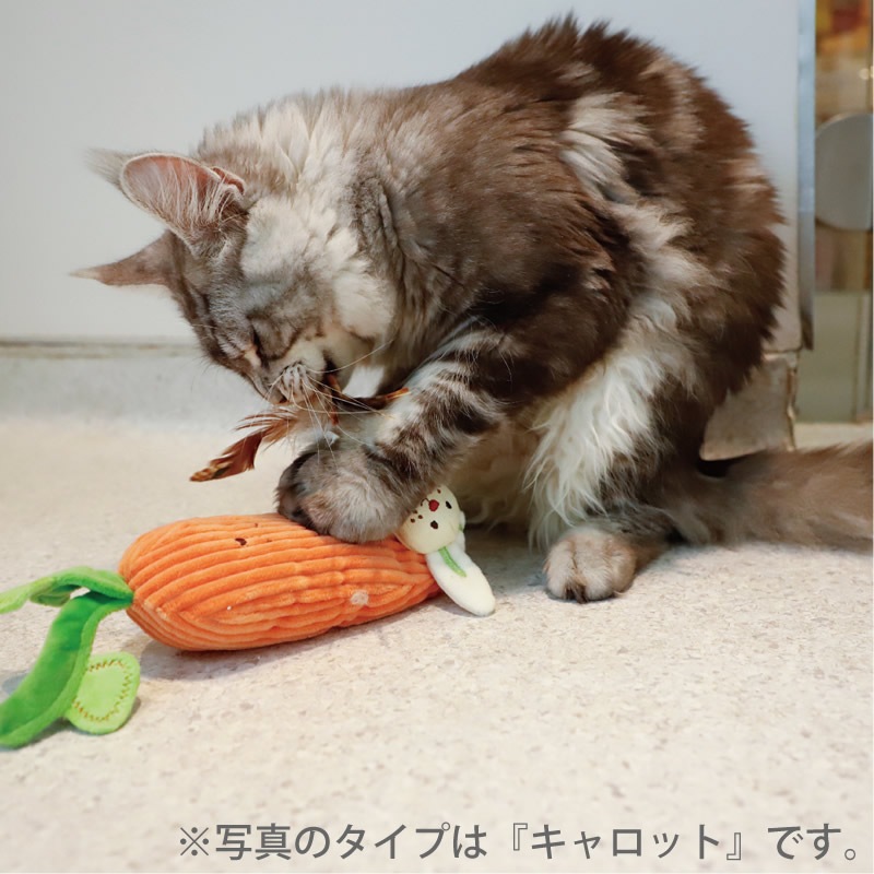 GiGwi �ߥ㥪������ ������å�