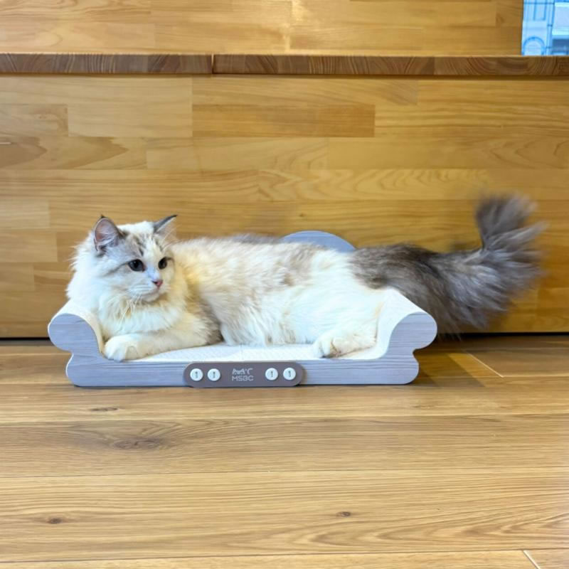 Petner ����å� ������å��㡼 ��ǭ���ե�����