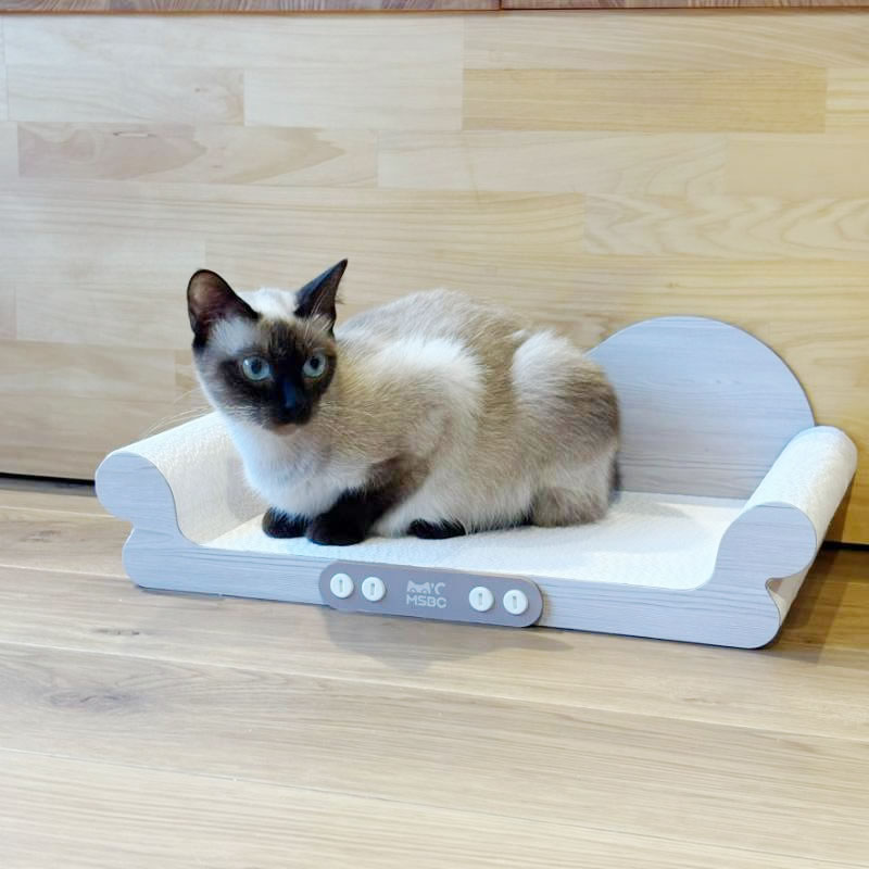 Petner ����å� ������å��㡼 ��ǭ���ե�����