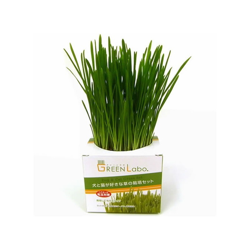 ����ǭ����������κ��ݥ��å�