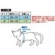 Anycat ���ˡ�����åȥϡ��ͥ� ����ץ� M ���졼
