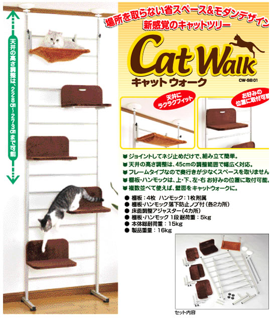 ��� �ܥ�ӥ��륳�� ����åȥ�������