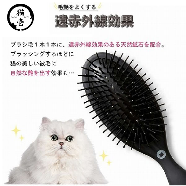 ǭ�� �֥饷�������ǭ��Ȥ����� ��ˡ�Υ֥饷