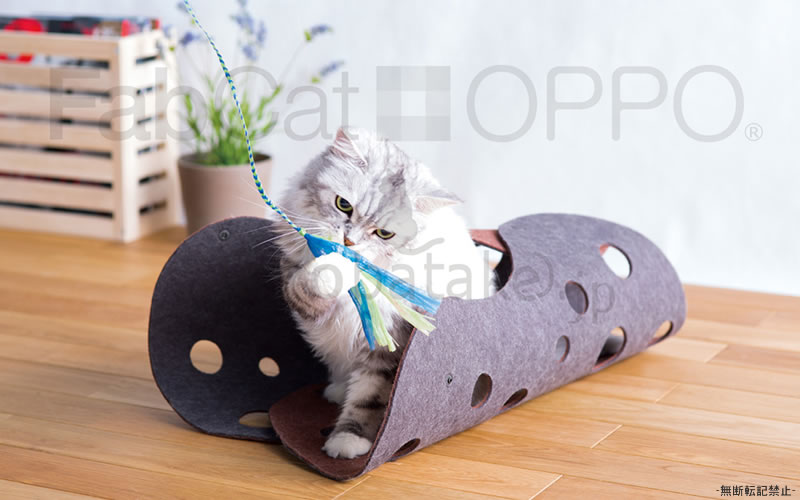 OPPO FabCat tunnel �ե��֥���åȡ��ȥ�ͥ�