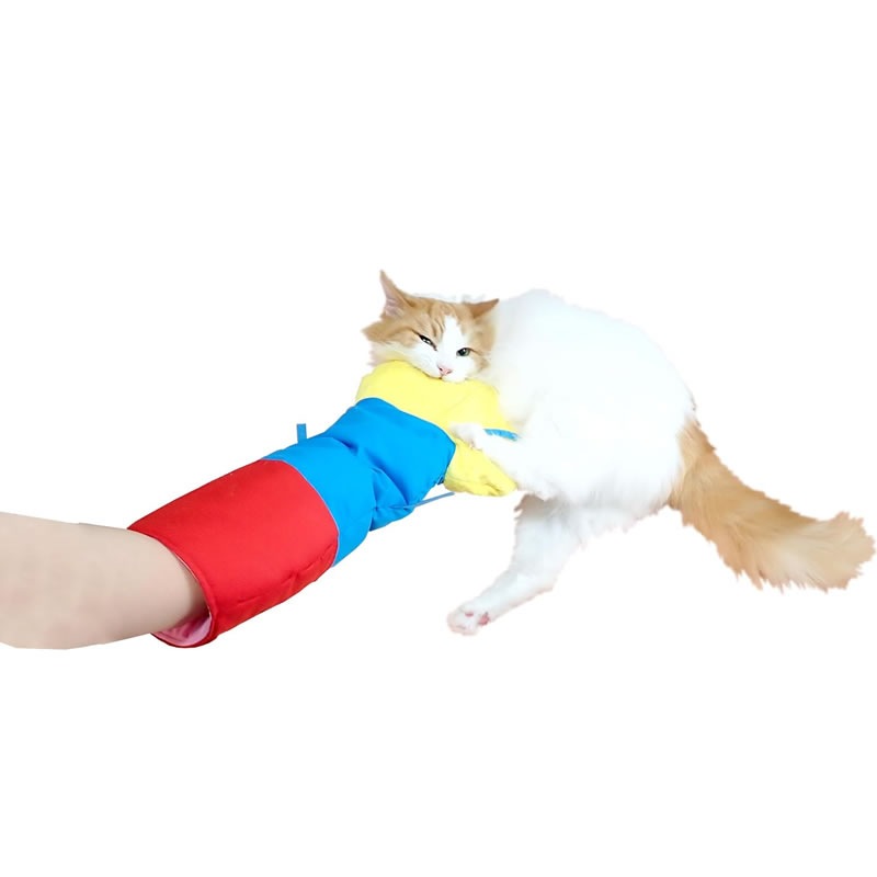 �ڥåĥ롼�� �����㥫���� �ˤ�� �ѥڥå� ����