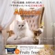 ������ ����å� �ե롼�ƥ����ե������� �������ȥ��å�