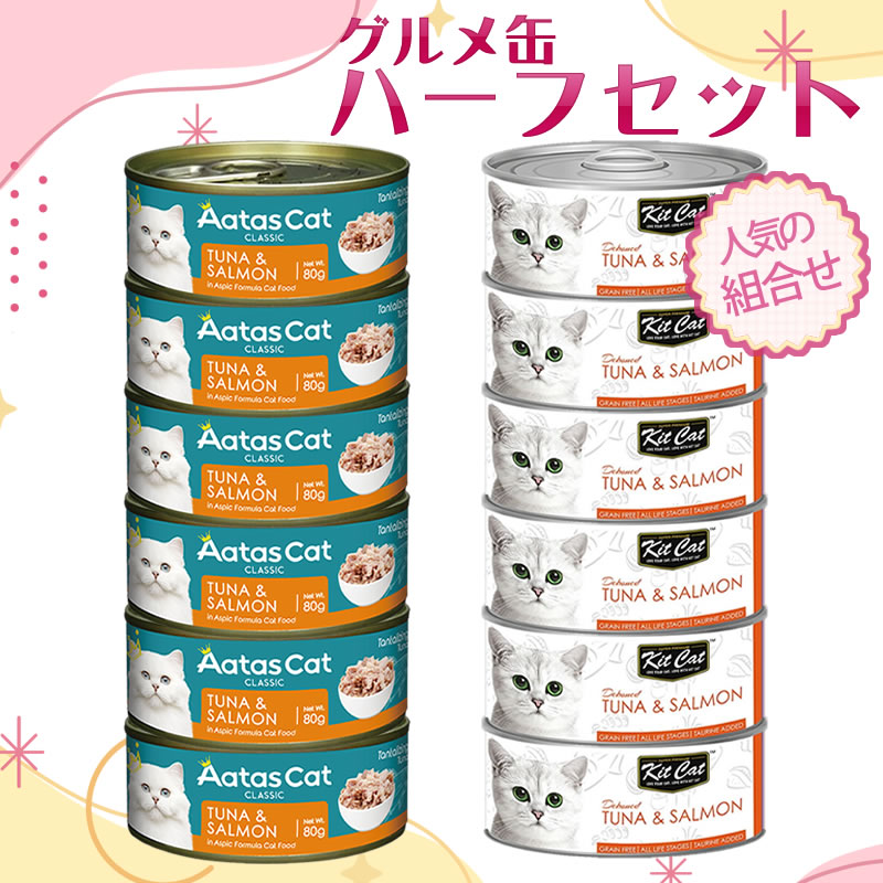 ̤Υϡեå åȡåȥå ĥʤȥ 12