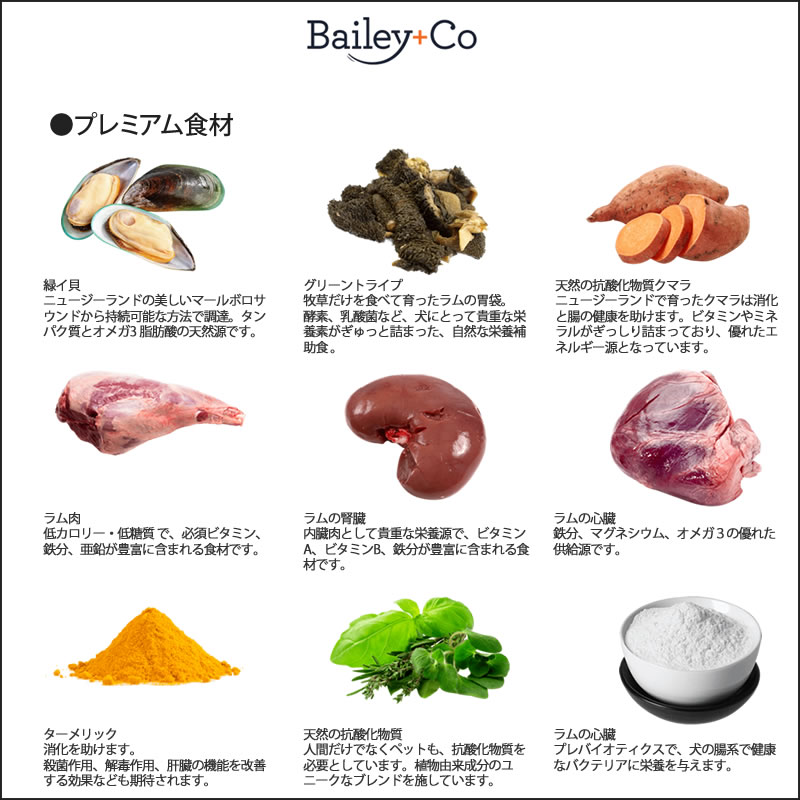 Bailey+Co �٥��꡼���� �ե꡼���ɥ饤 ����ץ꡼�� �٥˥����������� ǭ�� 80g