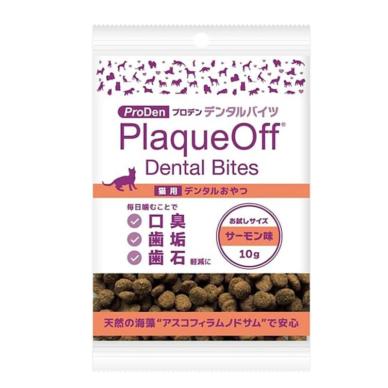 �ץ��ǥ� �ǥ󥿥�Х��� ǭ�� �������̣ ��������� 10g