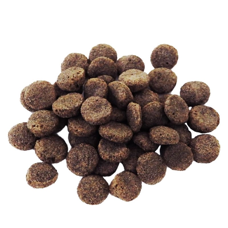 �ץ��ǥ� �ǥ󥿥�Х��� ǭ�� �������̣ ��������� 10g