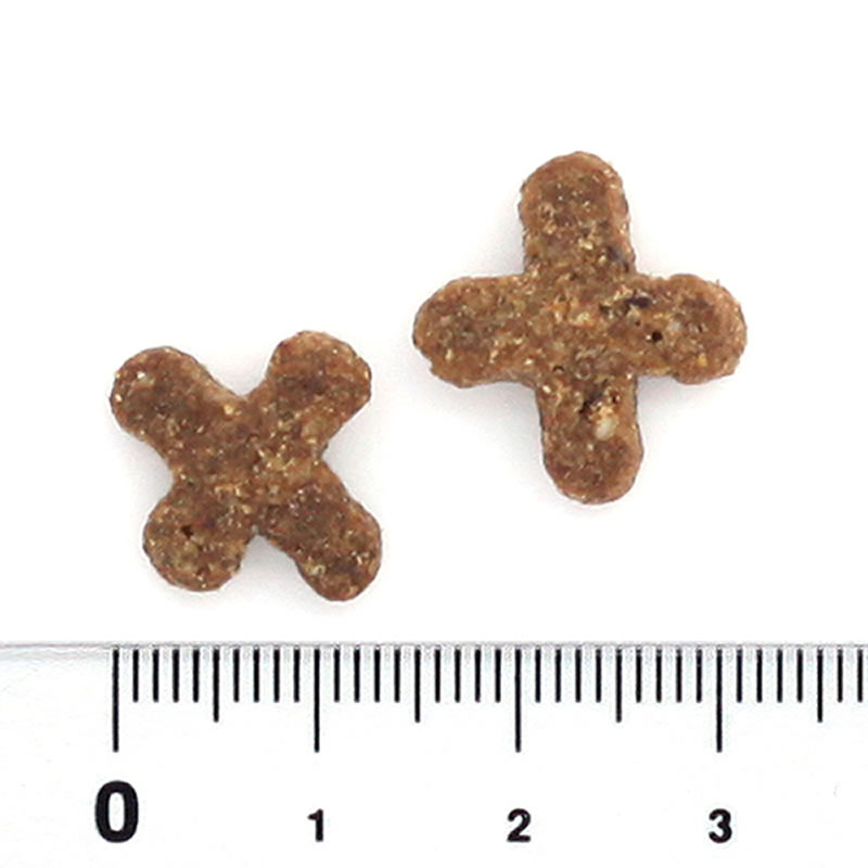 �֥�å����å� ����ɥ�����å� 1kg