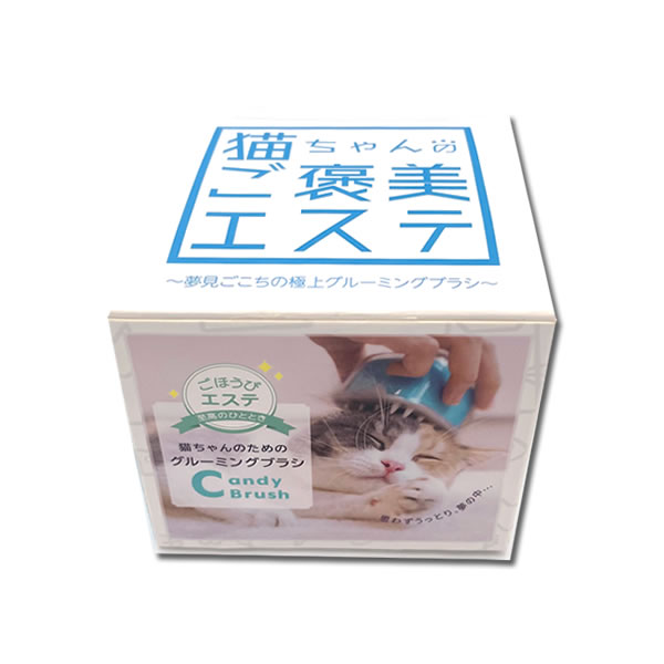 �����ǥ����֥饷 ���㥰�꡼��