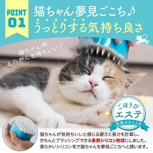 �����ǥ����֥饷 ���㥰�꡼��