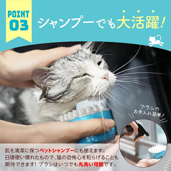 �����ǥ����֥饷 ���㥰�꡼��