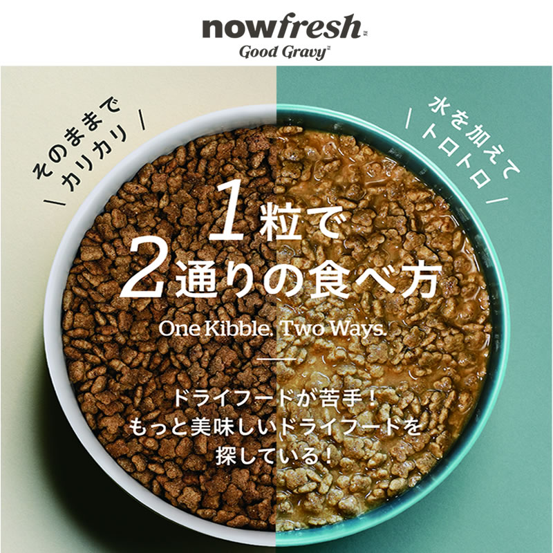 NOW FRESH �ʥ��ե�å��� ���åɥ��쥤�ӡ� ������ȥ���å� ������ 350g