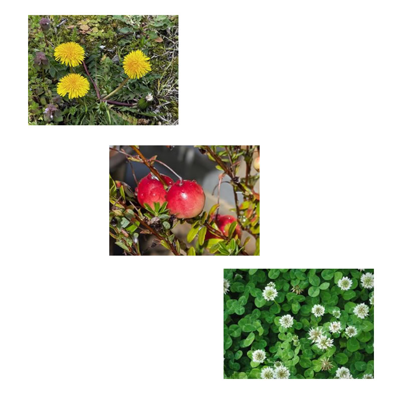 �����ƥ������å� ��ʡ��� ��� ��¡���� 100g