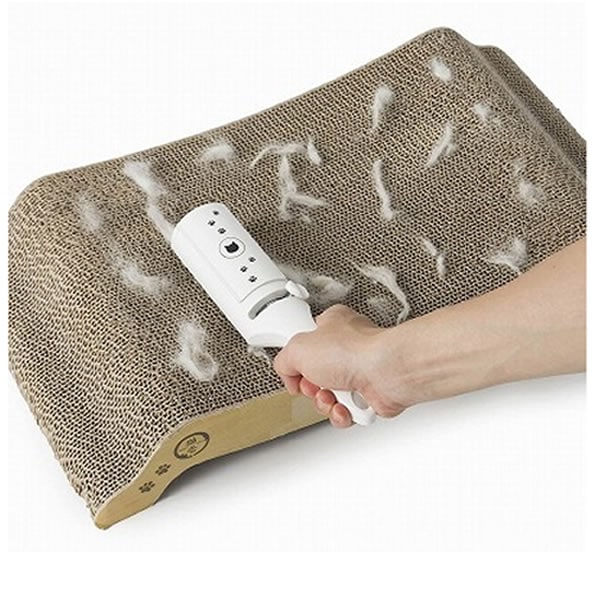 ǭ�� ȴ���Ӽ��磻�ѡ�