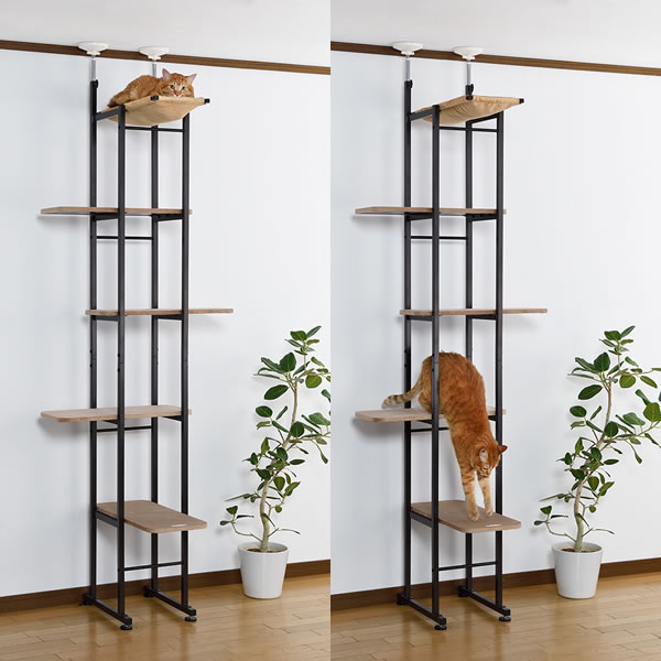 ��� �ܥ�ӥ��륳�� ����åȥ١���