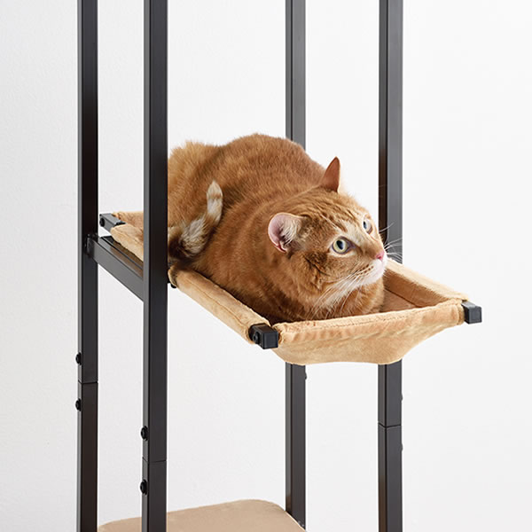 ��� �ܥ�ӥ��륳�� ����åȥ١���