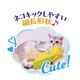 Petio �Ҥ��ꥵ�ޡ� ���ꤰ��� �ȥ��������