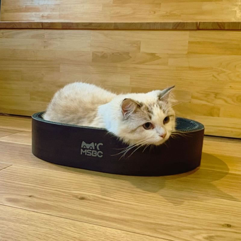 MSBC ����å� ������å��㡼 ��ǭ�ܥ��� C-S-090-BK Petner 