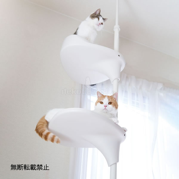 �ڼ�󤻡� OPPO ����åȥե��쥹��2 �ۥ磻��