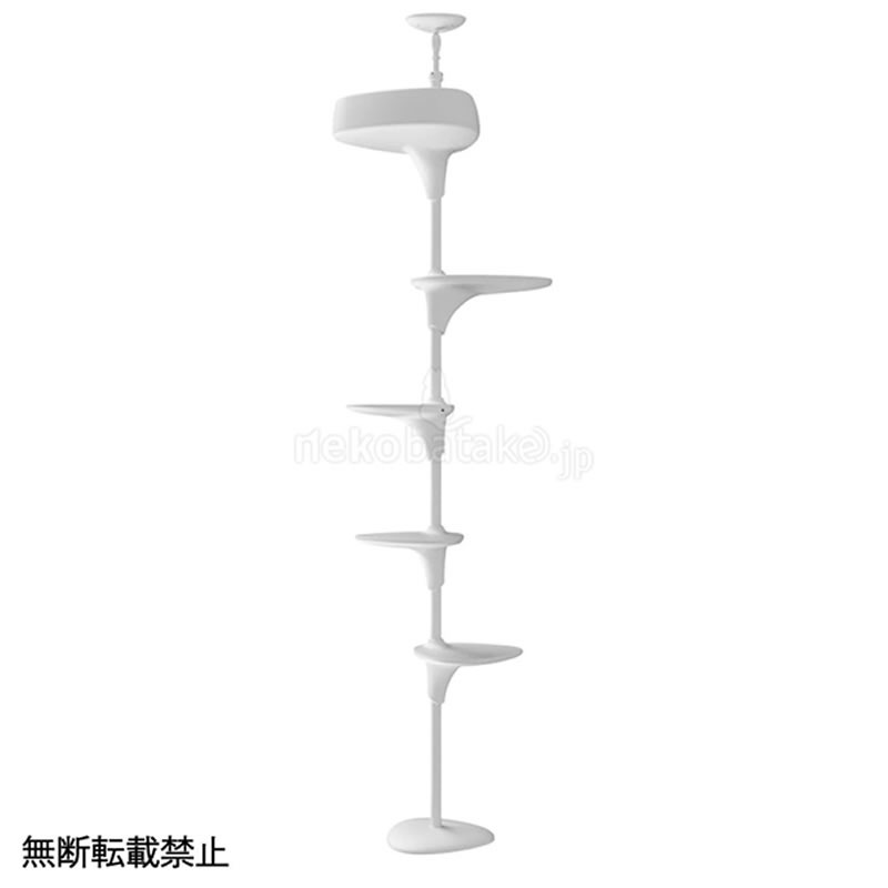 �ڼ�󤻡� OPPO ����åȥե��쥹��2 �ۥ磻��