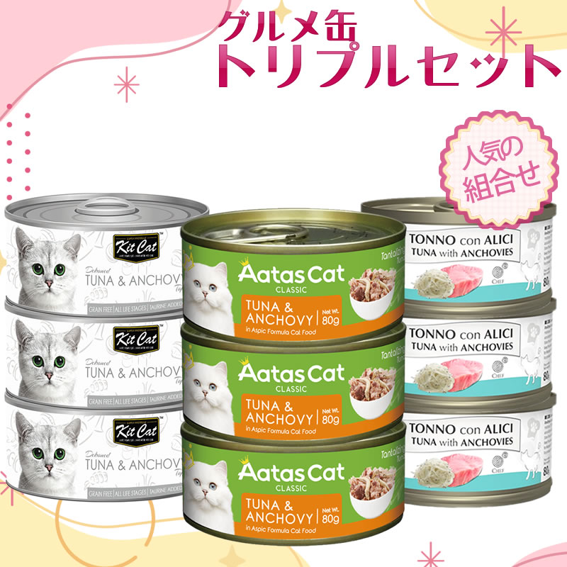 ̤Υȥץ륻å աåȡåȥå ĥʤȥ 9