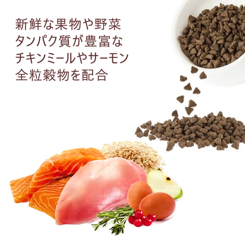 �ϡ����� �֥���  �������������� ����å� �ե����ߥ�� 250g