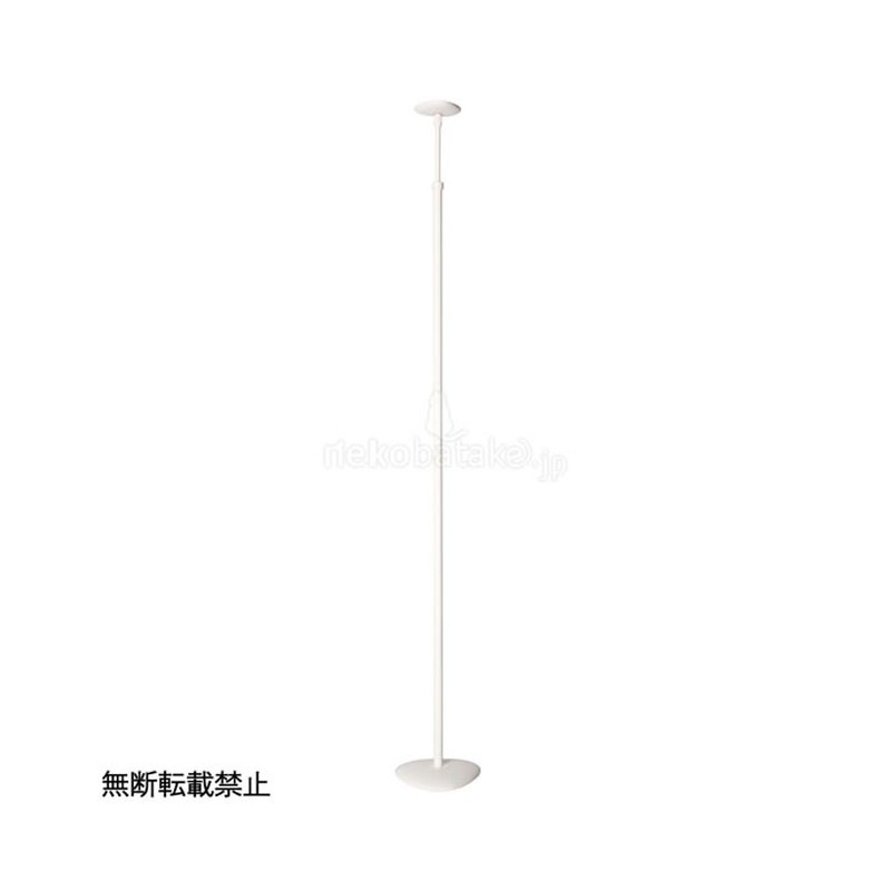 �ڼ�󤻡� OPPO ����åȥե��쥹�� �ݡ��륻�å�2 �ۥ磻��